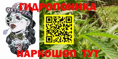 гашик Кунгур