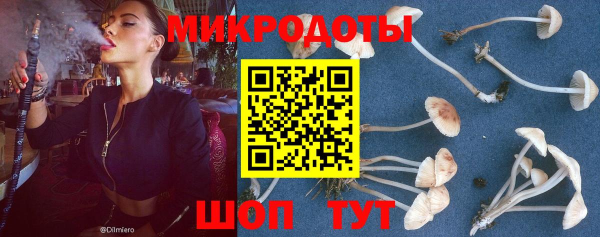 Галлюциногенные грибы мицелий  Вход с VPN  Галлюциногенные грибы Magic Shrooms  где продают наркотики  Грязи 